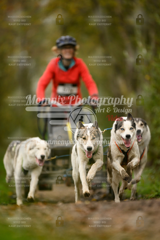 MompixPhotography_20TSB_E6_Kart-9 | PayLife