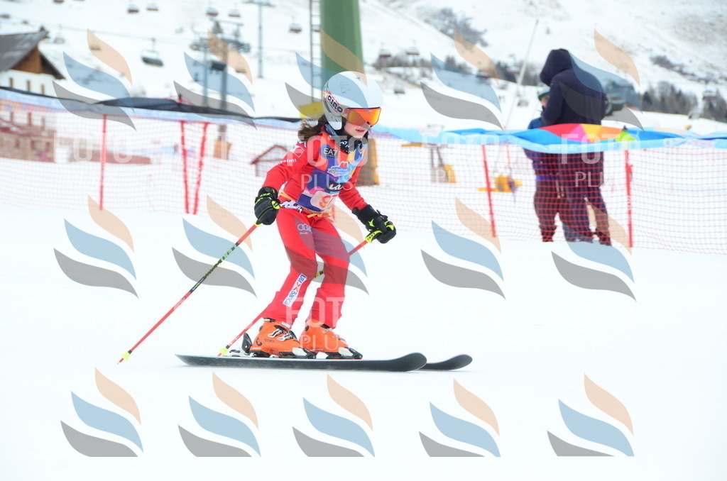 DSC_1196 | holidayphoto