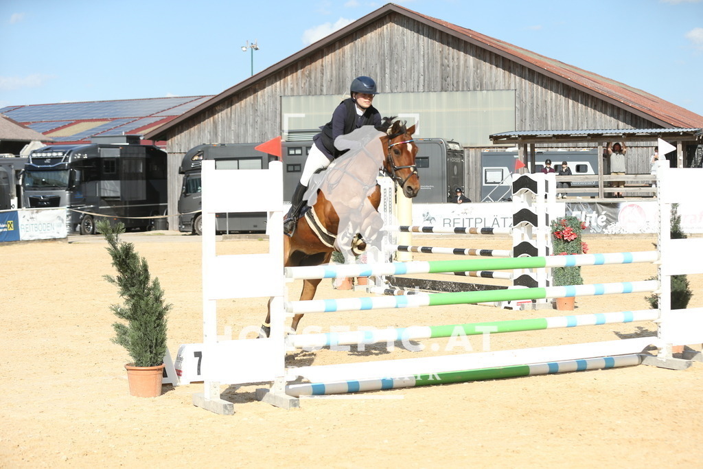 DL2Q7101 | Willkommen bei Brunnmayr - Design & Fotografie – Ihrem Spezialisten für Reitturniere und Pferdeveranstaltungen in Oberösterreich, Salzburg und Bayern! Seit über 17 Jahren sind wir leidenschaftlich dabei.