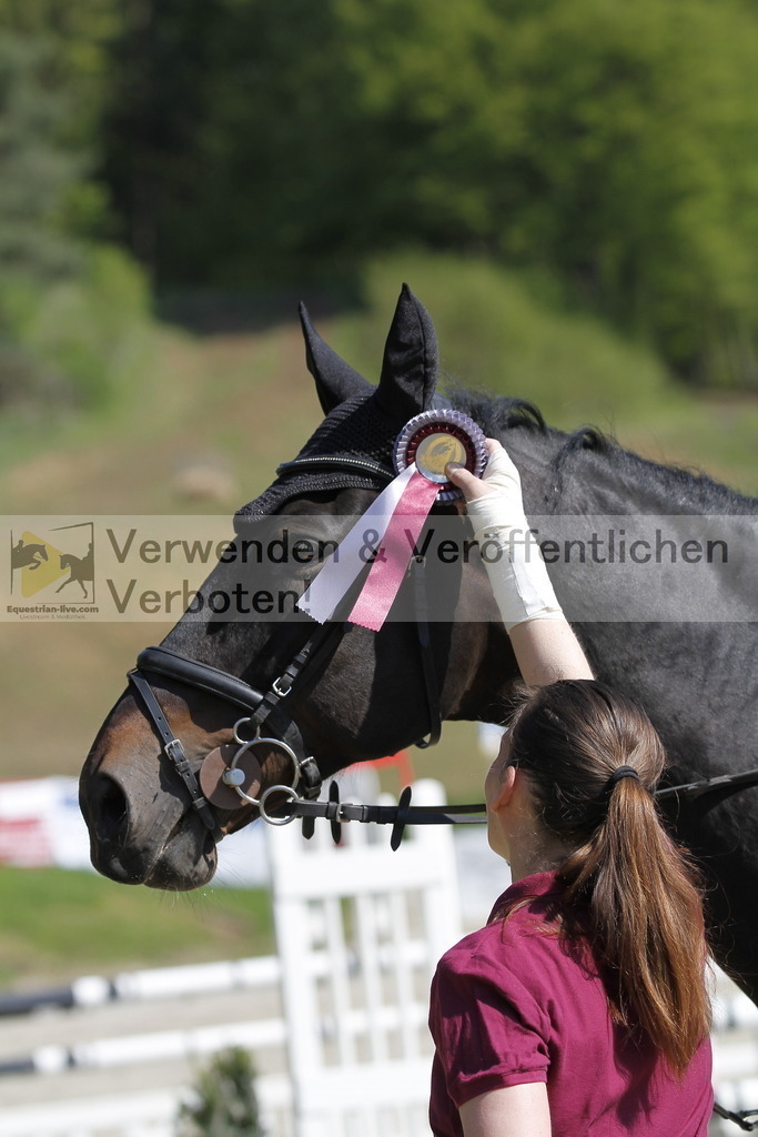 _MG_6848 | equestrian-live-com