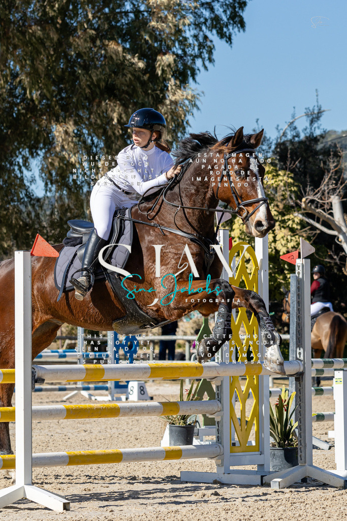 IMG_9896 | s-jay-photography - Realisiert mit Pictrs.com