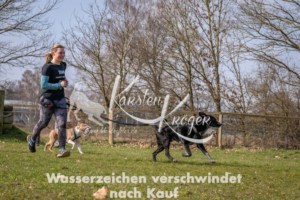 _ZZ90585 | kk-dogfotos