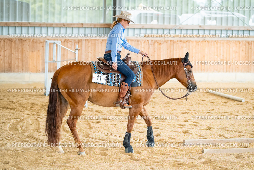 DSC07484 | Pferdegrafie