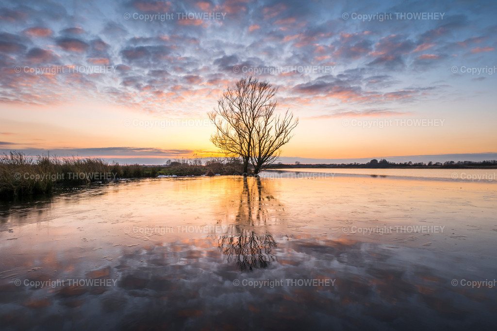 _1023742 | thowehey - Realisiert mit Pictrs.com