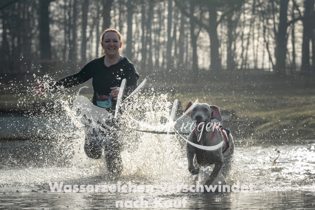 0901_ZZ99544 | kk-dogfotos