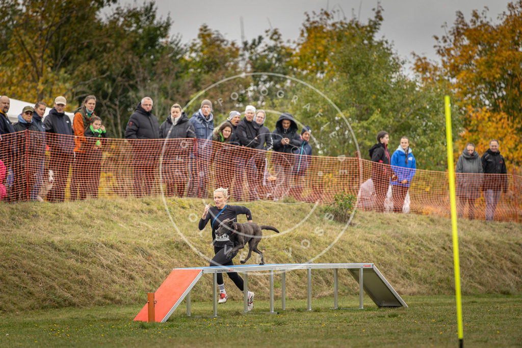 Pfotenfotografie_DV3A4302 | Hundefotografie, Tierfotograf, Pfotenfotografie, Fotoshooting Hund, Hunde Portrait, Hundesport, Hundeportraits, Heideshooting, Hunde, Sportfotograf, Hundefotograf, Turnierhundsport, THS,  - Realisiert mit Pictrs.com
