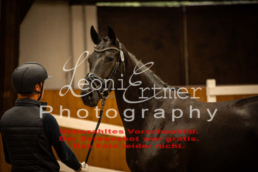 1FS_L00109 | Leoni Ertmer Photography - Realisiert mit Pictrs.com