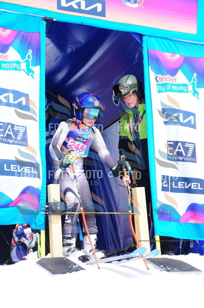 DSC_6207 | holidayphoto