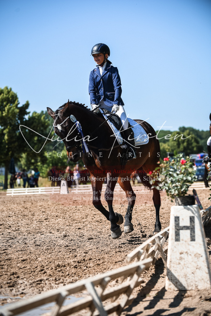 DSC_3709 | Pferde- und Turnierfotografie in Westsachsen. Pferdeportraits, Auftragszeichnungen und intuitive Kunst.