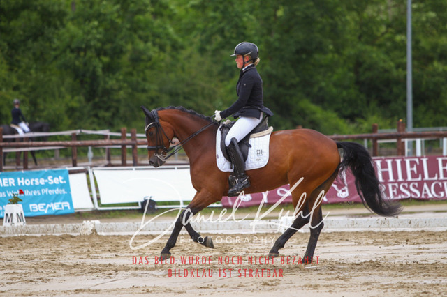 DKP40634 | Turniersportfotografie; Pferdefotografie; Dressurfotografie