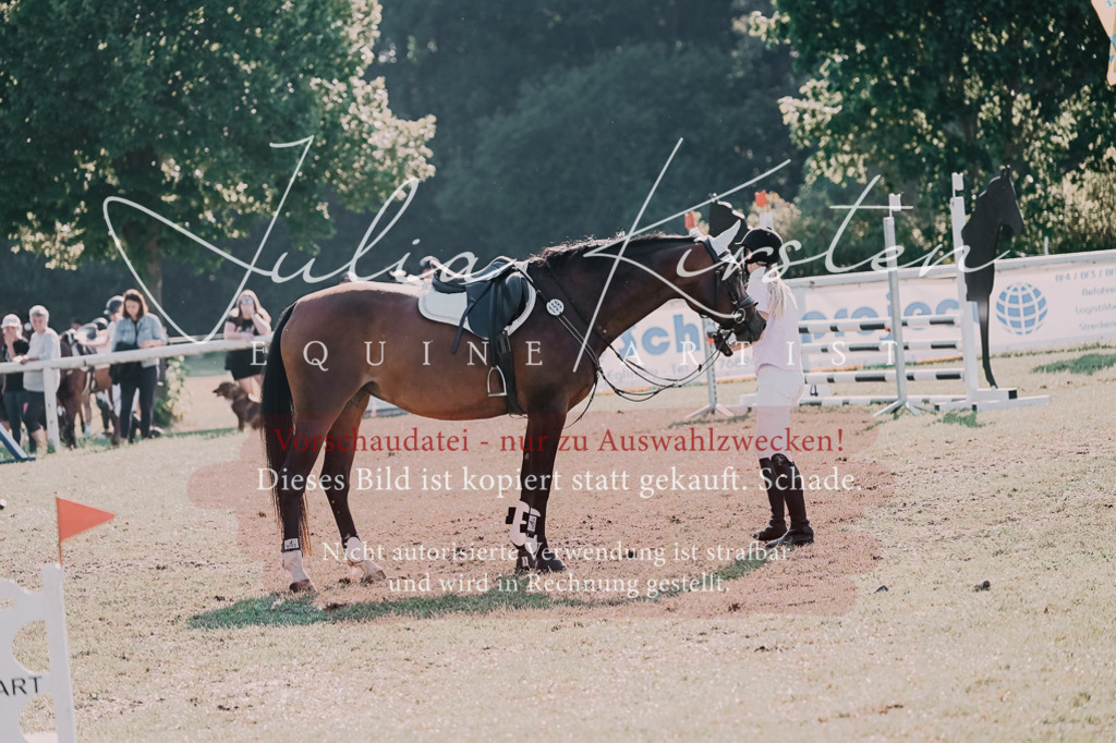 DSC_4800 | Pferde- und Turnierfotografie in Westsachsen. Pferdeportraits, Auftragszeichnungen und intuitive Kunst.