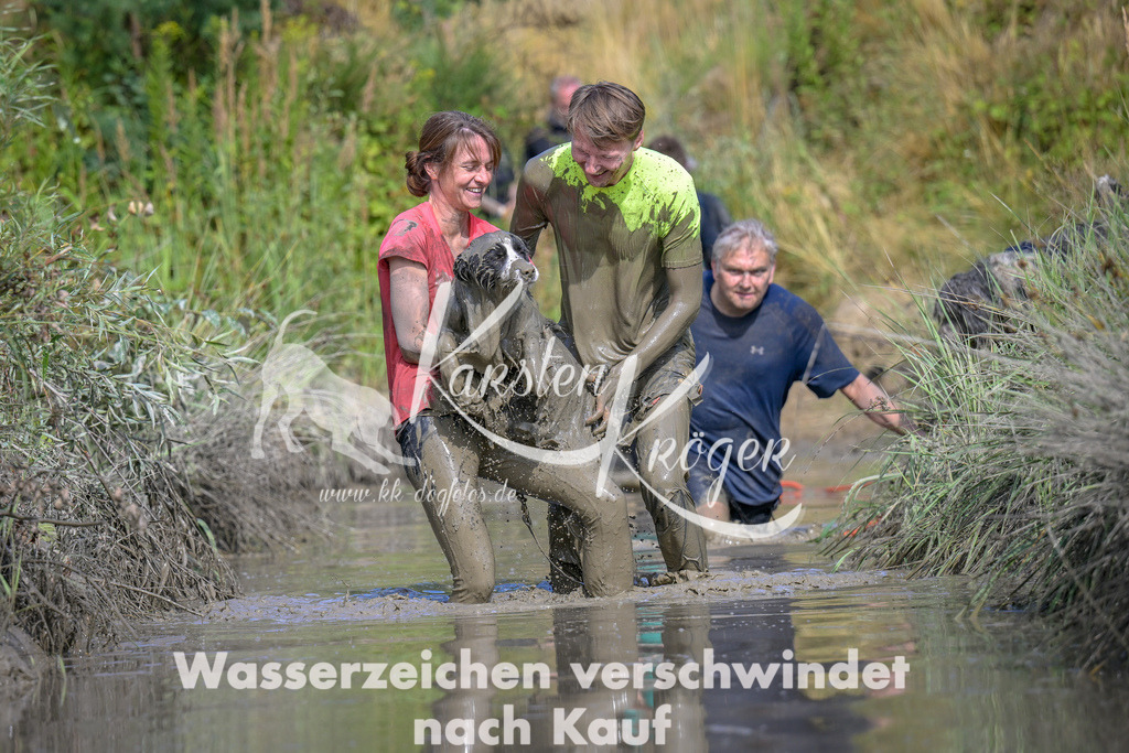 1642_ZZ97454 | kk-dogfotos