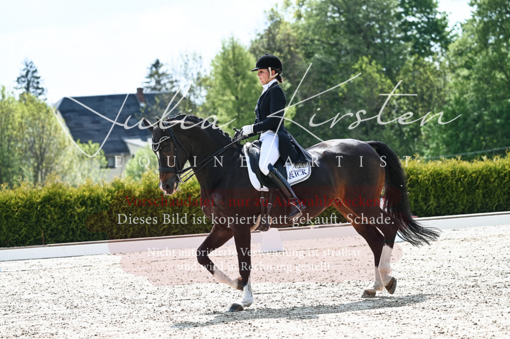 20230514_JK-Röhrsdorf-19-020 | Pferde- und Turnierfotografie in Westsachsen. Pferdeportraits, Auftragszeichnungen und intuitive Kunst.