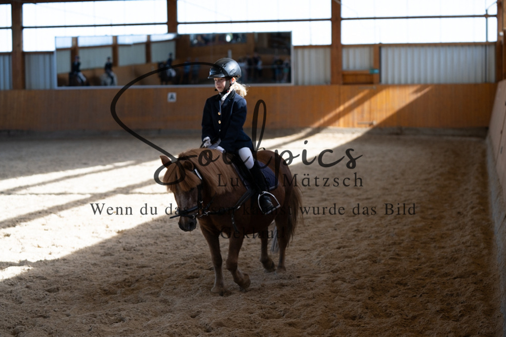 A7V02124 | Turnier/Reitfotograf