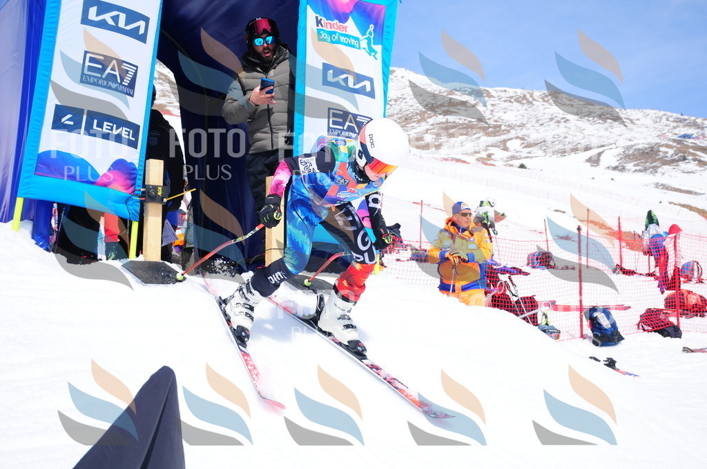 DSC_7006 | holidayphoto