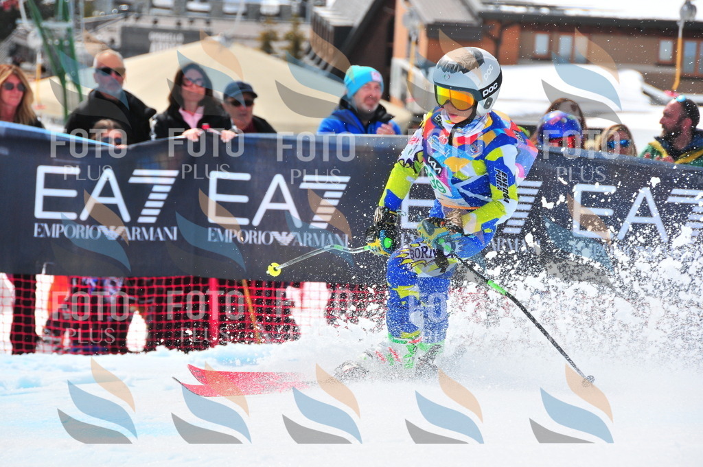 DSC_2216 | holidayphoto