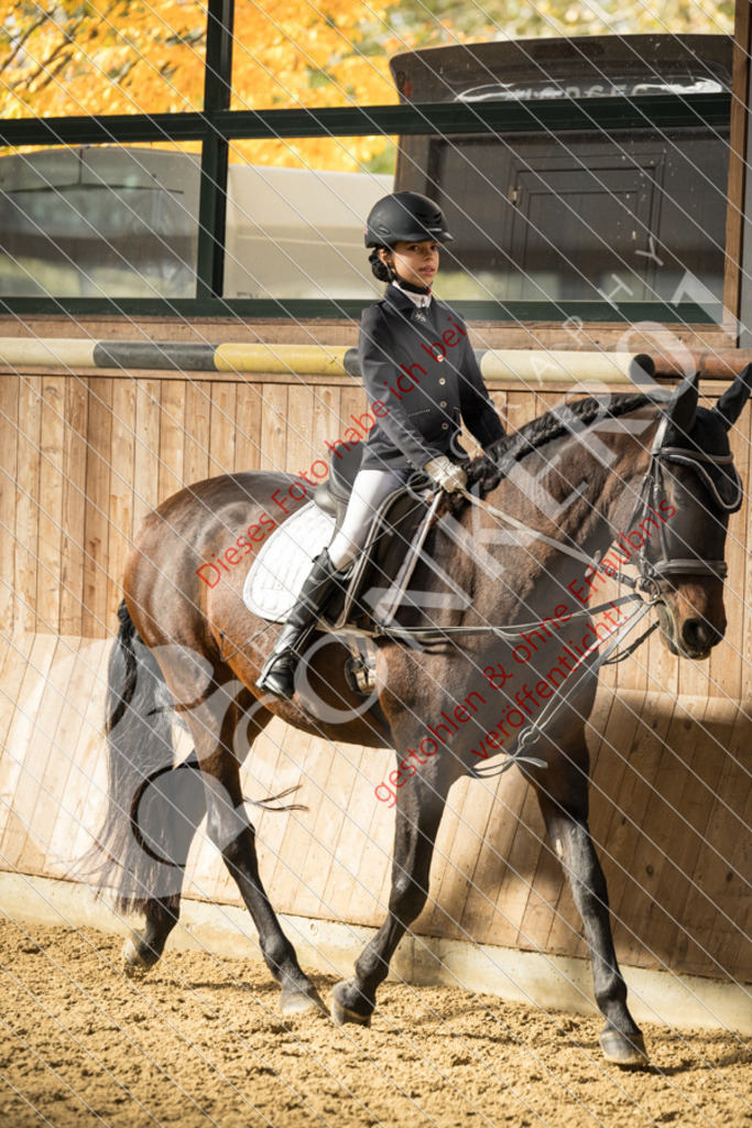 CON_6191 | Sport-, Event- und Tierfotos in Profiqualität. Einfach auswählen, bestellen und herunterladen. Dein Moment – perfekt festgehalten.