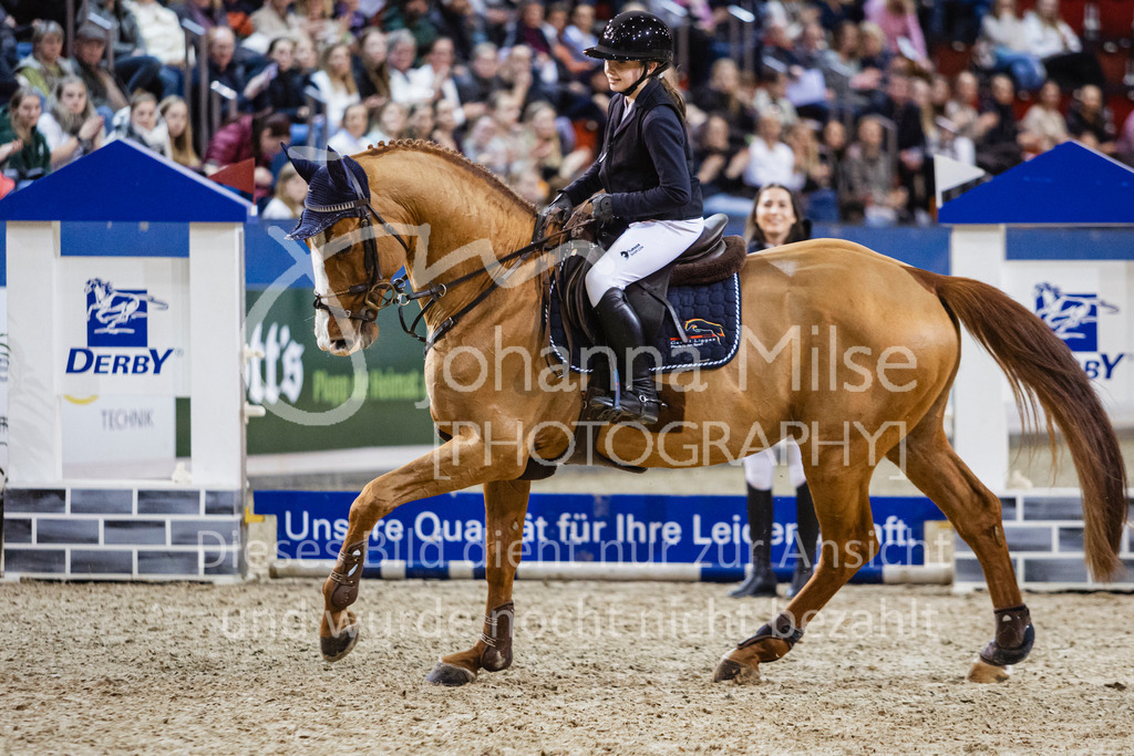 250108_Muenster_Hengstpräsentation-135 | Deine schönsten Turniermomente als professionelle Fotos! Entdecke hochwertige Pferdesport-Fotografie im Online-Shop. Jetzt Fotos finden & bestellen!