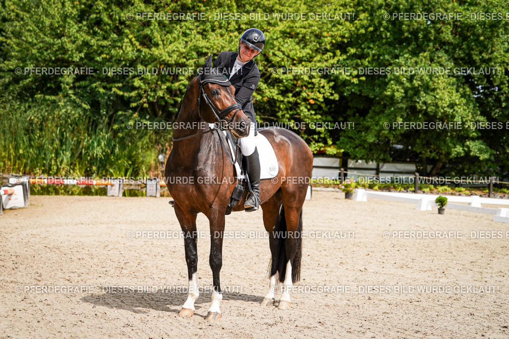 DSC09834 | Pferdegrafie