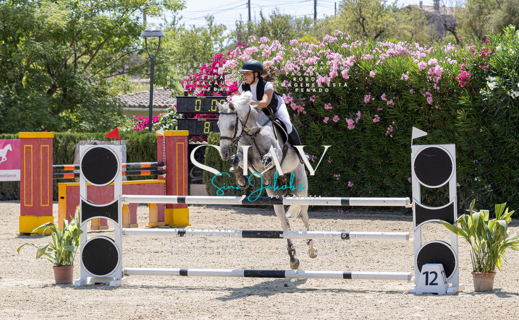 IMG_7610 | s-jay-photography - Realisiert mit Pictrs.com