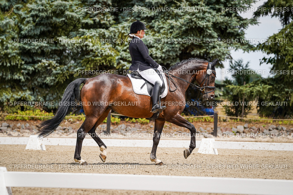 DSC02093 | Pferdegrafie