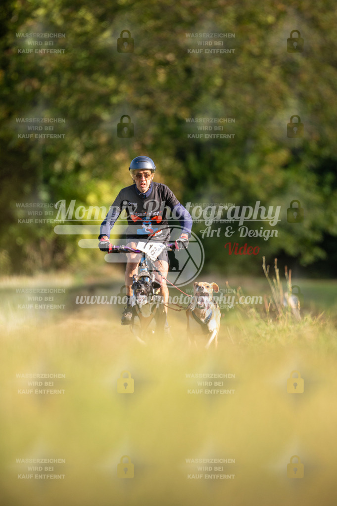 CDLBDB_15_10_2023_Dimanche-303 | mompixphotography