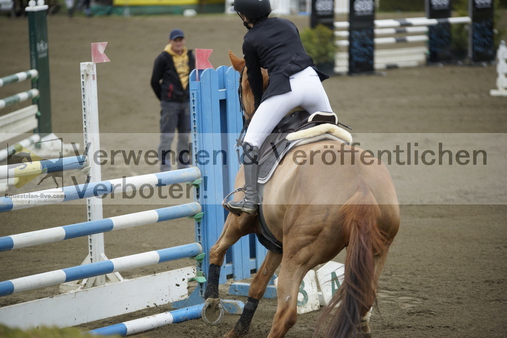 _DSC7073 | equestrian-live-com