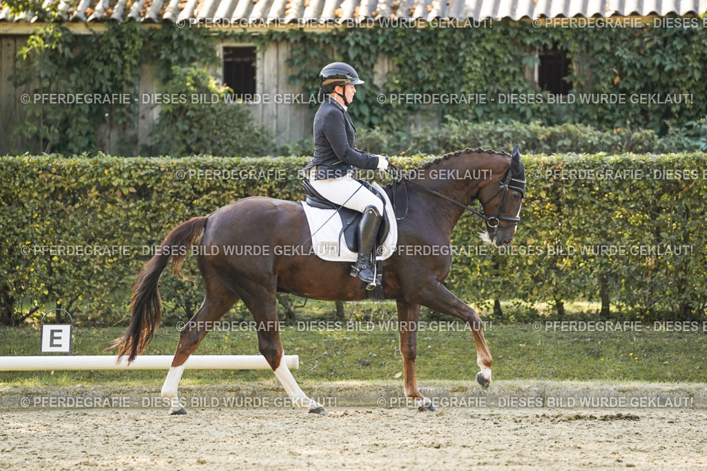 DSC06485 | Pferdegrafie