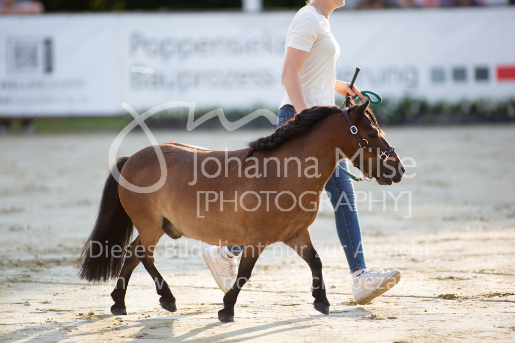 230728_BHO_Showprogramm_FS-718 | Deine schönsten Turniermomente als professionelle Fotos! Entdecke hochwertige Pferdesport-Fotografie im Online-Shop. Jetzt Fotos finden & bestellen!