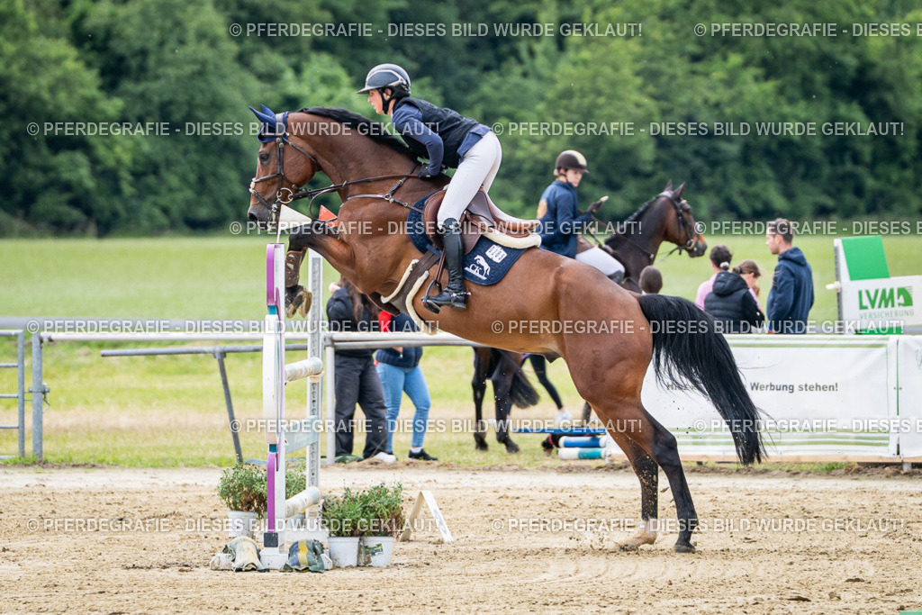 DSC05192 | Pferdegrafie