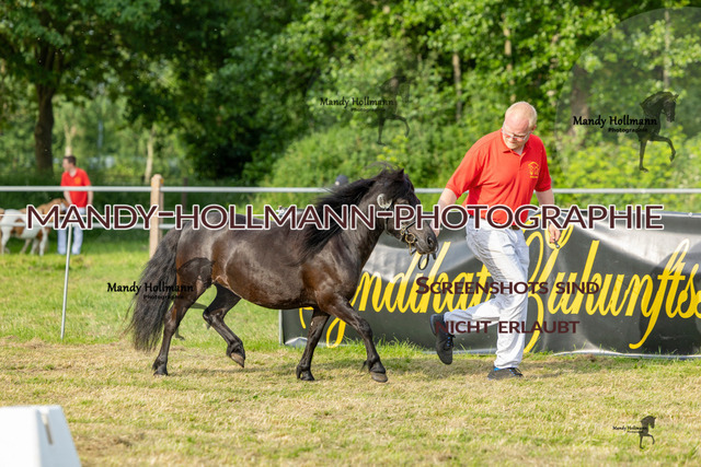 RR 2 (339 von 818) | mandyhollmannphotographie