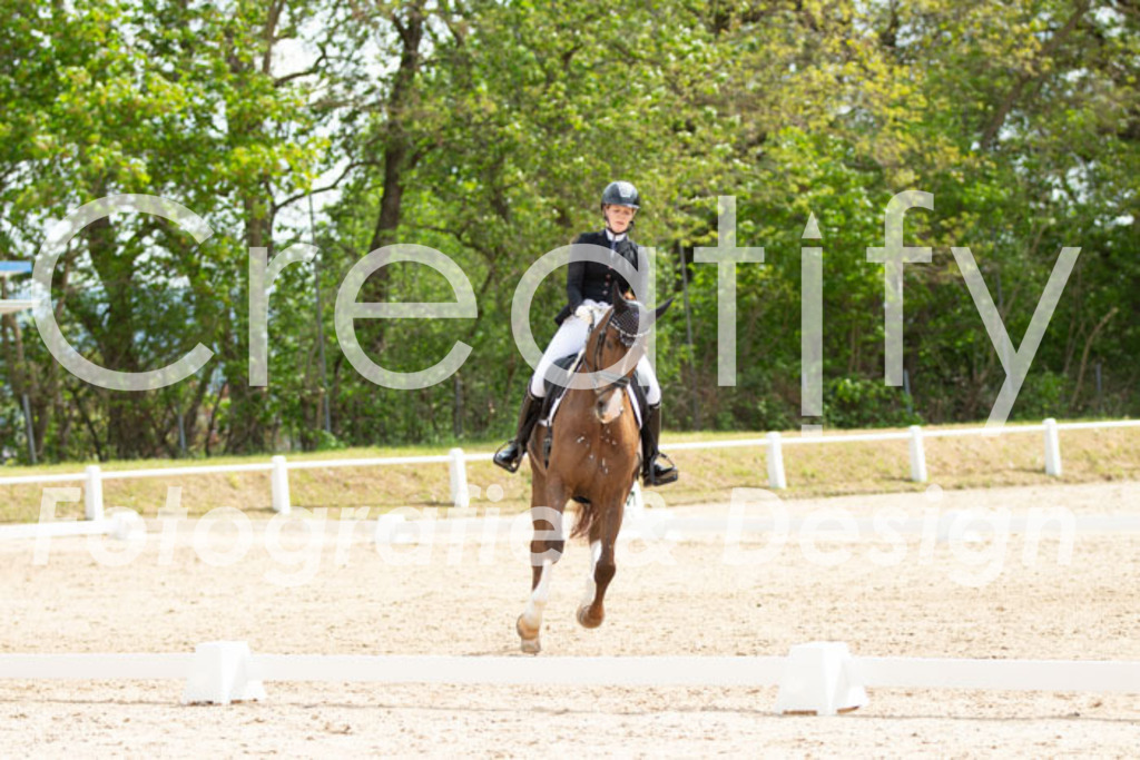 IMG_2309 | Creatify Fotografie