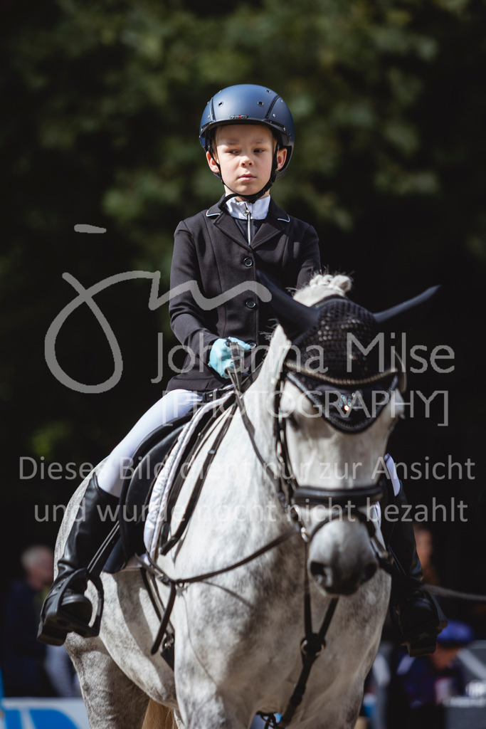 240915_OWLCh_FuehrzuegelWB-647 | Deine schönsten Turniermomente als professionelle Fotos! Entdecke hochwertige Pferdesport-Fotografie im Online-Shop. Jetzt Fotos finden & bestellen!