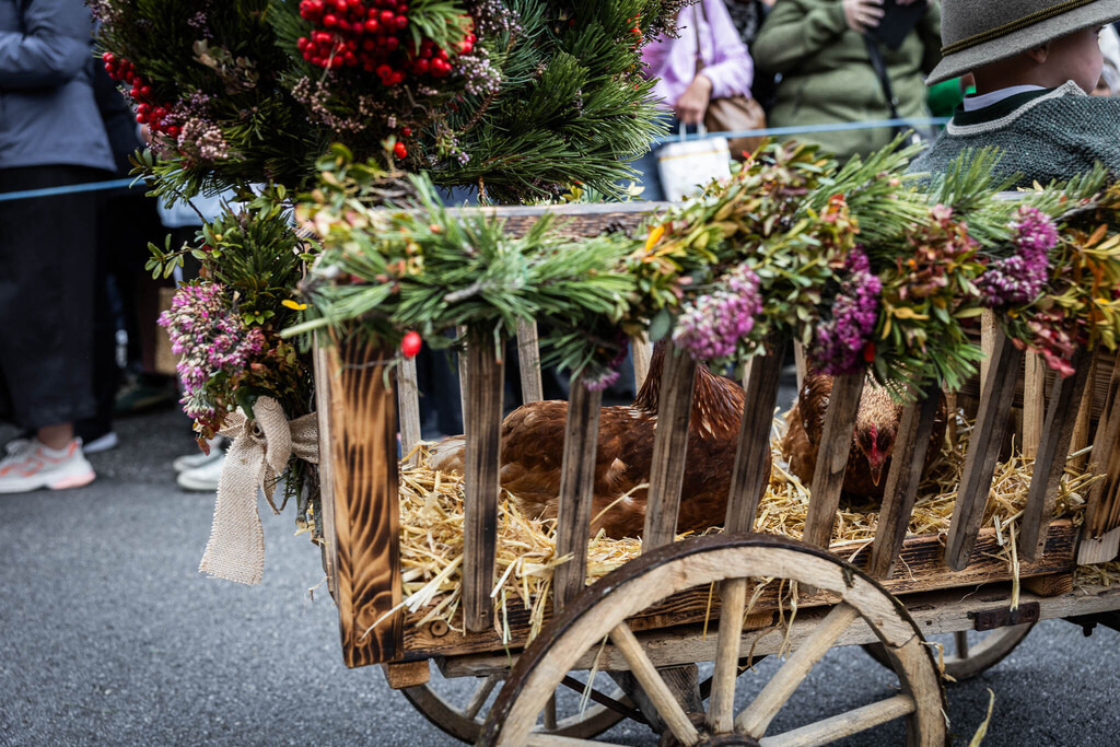 Rupertifest_Flachau_2k25_Webauflösung-194 | Bildershop Chri Fischbacher - Realisiert mit Pictrs.com