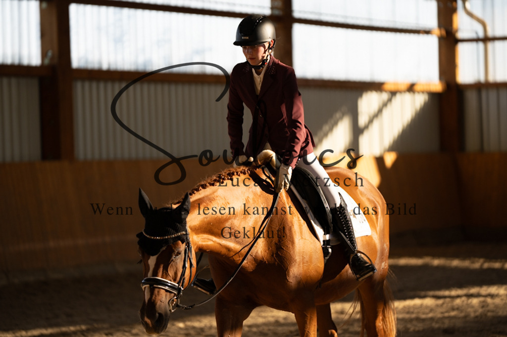 A7V01647 | Turnier/Reitfotograf