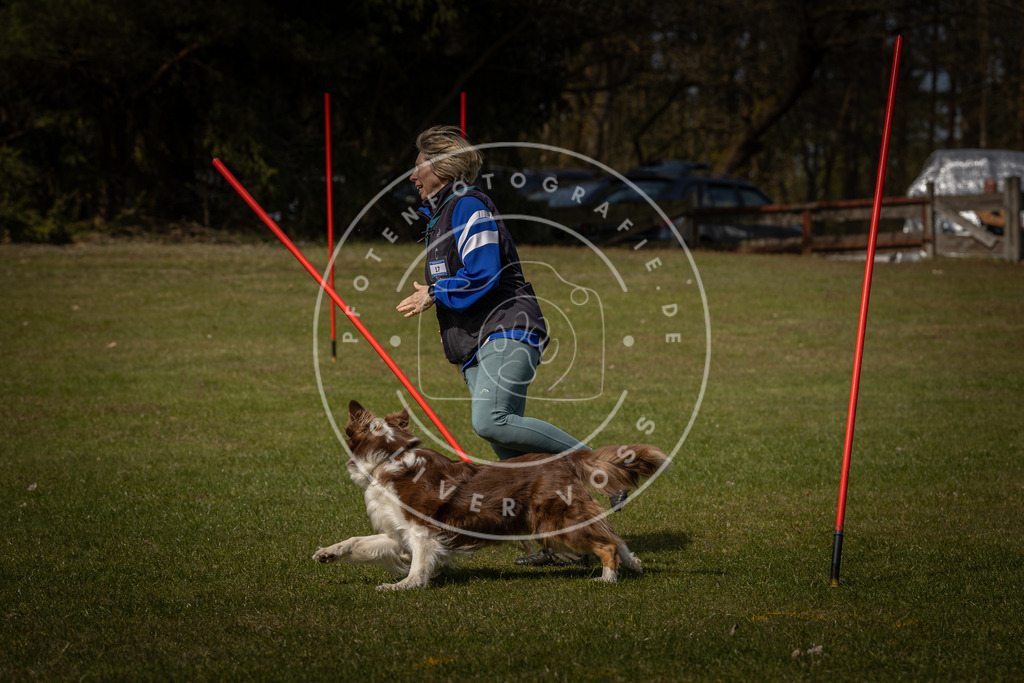 Pfotenfotografie_DV3A4178 | Hundefotografie, Tierfotograf, Pfotenfotografie, Fotoshooting Hund, Hunde Portrait, Hundesport, Hundeportraits, Heideshooting, Hunde, Sportfotograf, Hundefotograf, Turnierhundsport, THS,  - Realisiert mit Pictrs.com