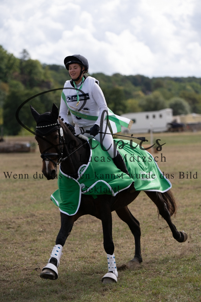 A7V01255 | Pferdefotograf