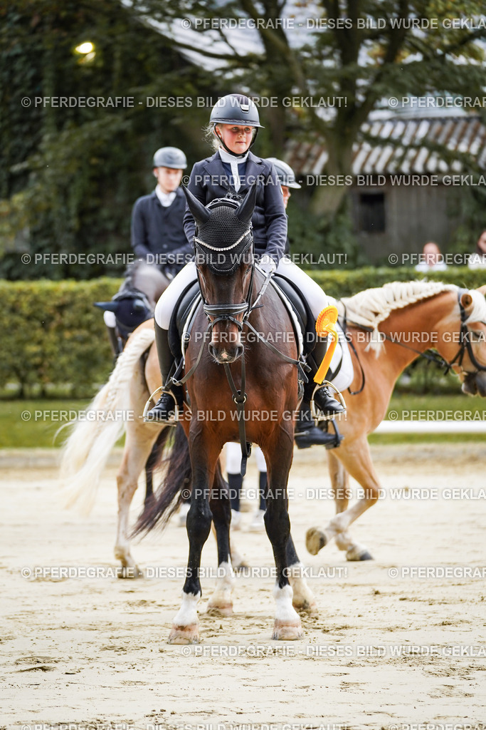 DSC04959 | Pferdegrafie