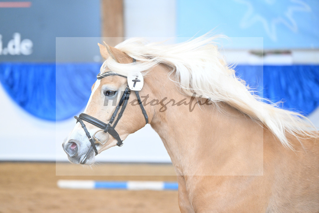Kat-Nr. 7 Daria v. Armani Ass_Obermaier_60221128 | hf-fotografie - Realisiert mit Pictrs.com