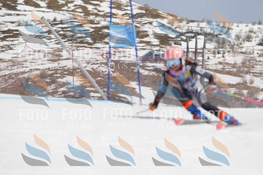 _U3G1679 | holidayphoto