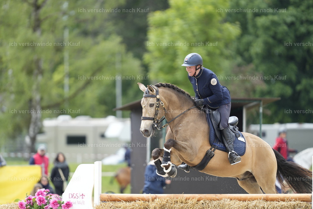 PI26_SP_Stoibphotography_A748228.JPG | working equitationturnier fotograf videograf stoibphotography marixx film working equitation deutschland reitsport turnierfotografie eventfotografie equestrian events