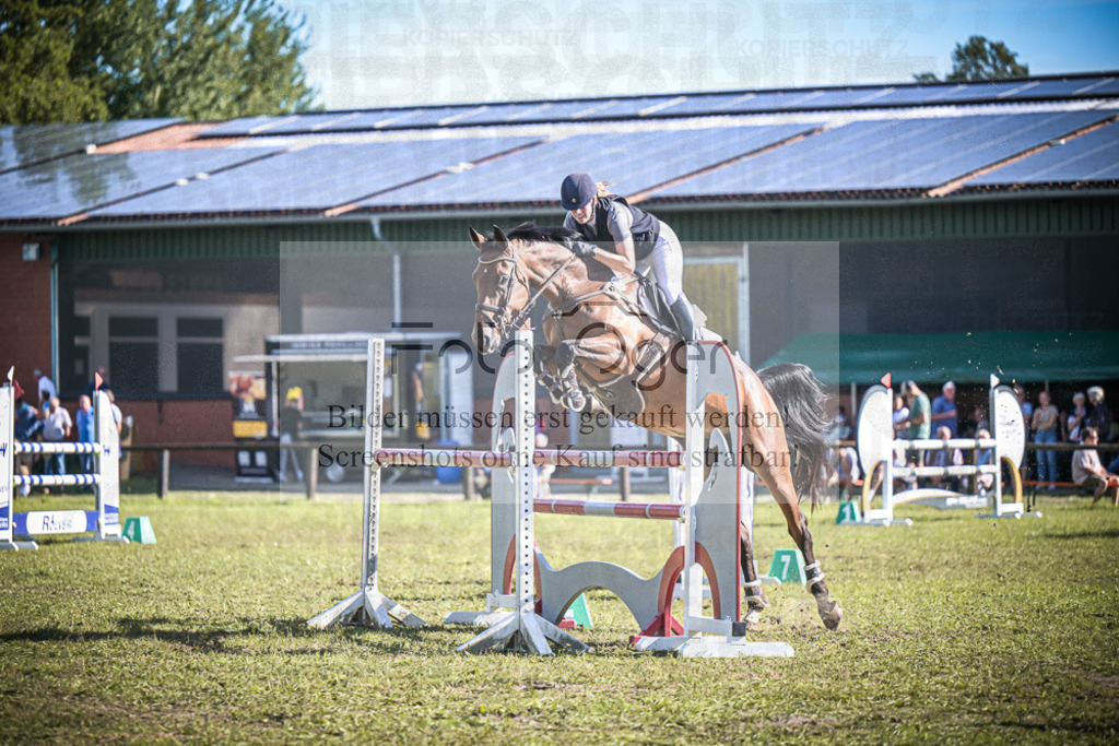 DOS_1027 | Entdecke hochwertige Reitturnierfotos von Foto Oger. Professionell, emotional und authentisch – jetzt Lieblingsmomente im Shop bestellen.Deutschlandweite Turnierfotografie. - Realisiert mit Pictrs.com