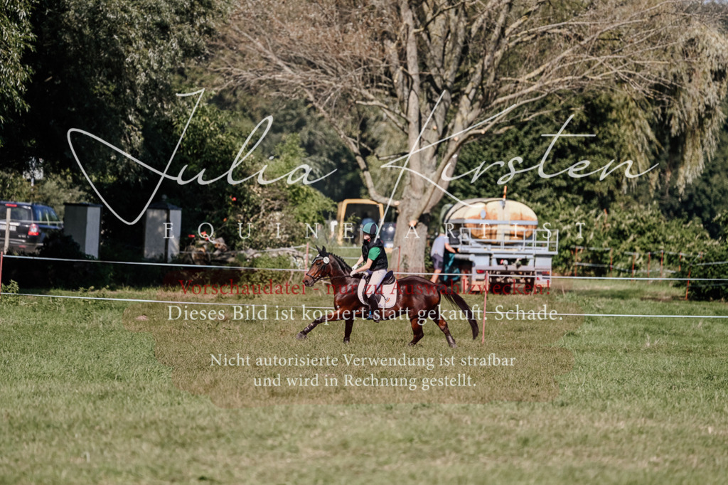 DSC_3615 | Pferde- und Turnierfotografie in Westsachsen. Pferdeportraits, Auftragszeichnungen und intuitive Kunst.