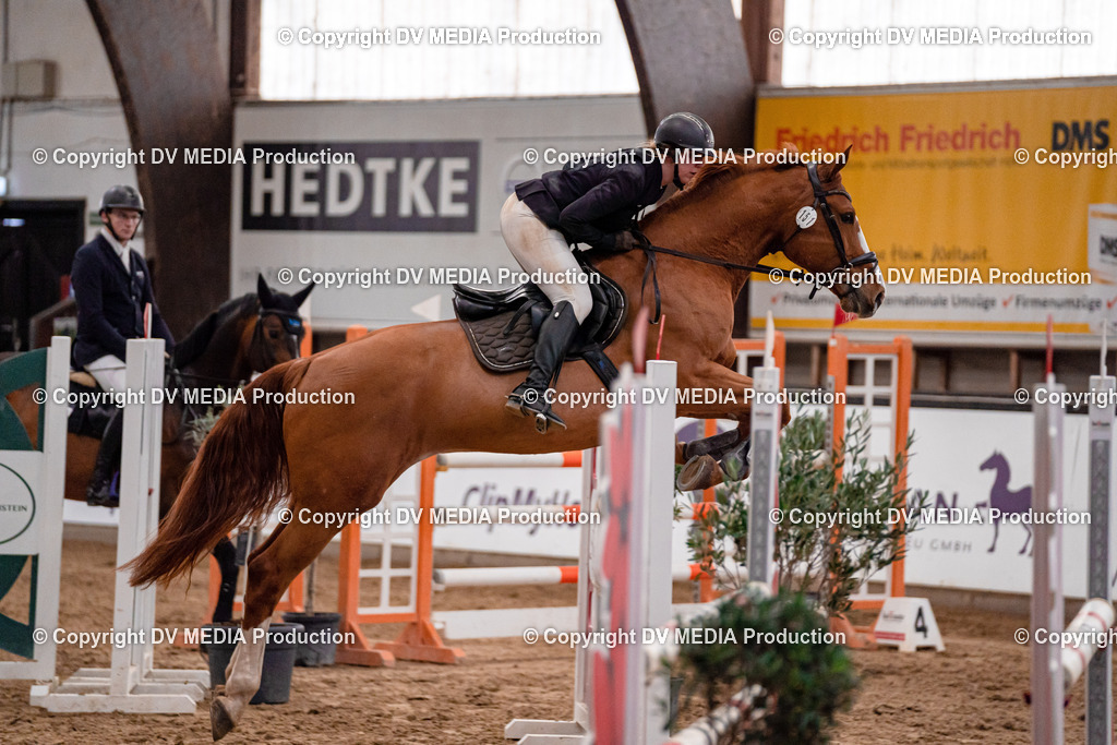 Kranichstein II Tag 1-624 | dv-media-shop - Realisiert mit Pictrs.com