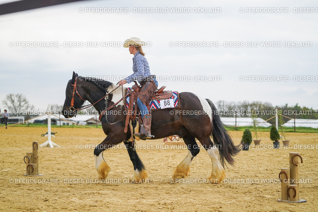 DSC08019 | Pferdegrafie