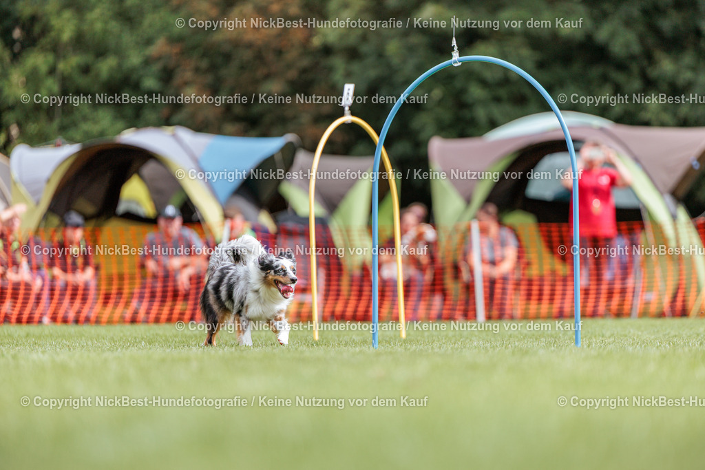 BSP Hoopers-H1-2026-Nickbest-Hundefotografie-TuS Komet Arsten e.V.-7212 | Dein Hund! Dein Moment! Deine Erinnerungen! Hundefotografie in Bremen Blumenthal. Ich fange die besonderen Momente deines Vierbeiners ein – ob Indoor mit Blitzanlage oder in der freien Natur. Sicher dir dein Moment und dein Termin für eure Erinnerungen.