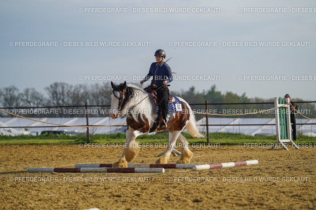 DSC00925 | Pferdegrafie