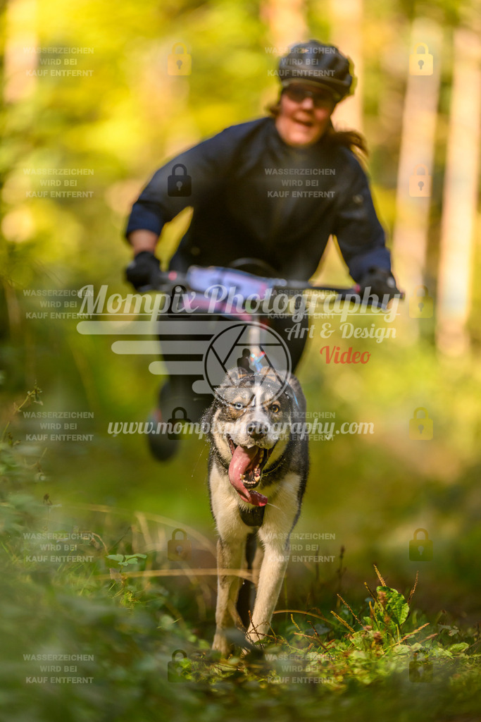 MompixPhotography_Yens2025_B2-82 | PayLife