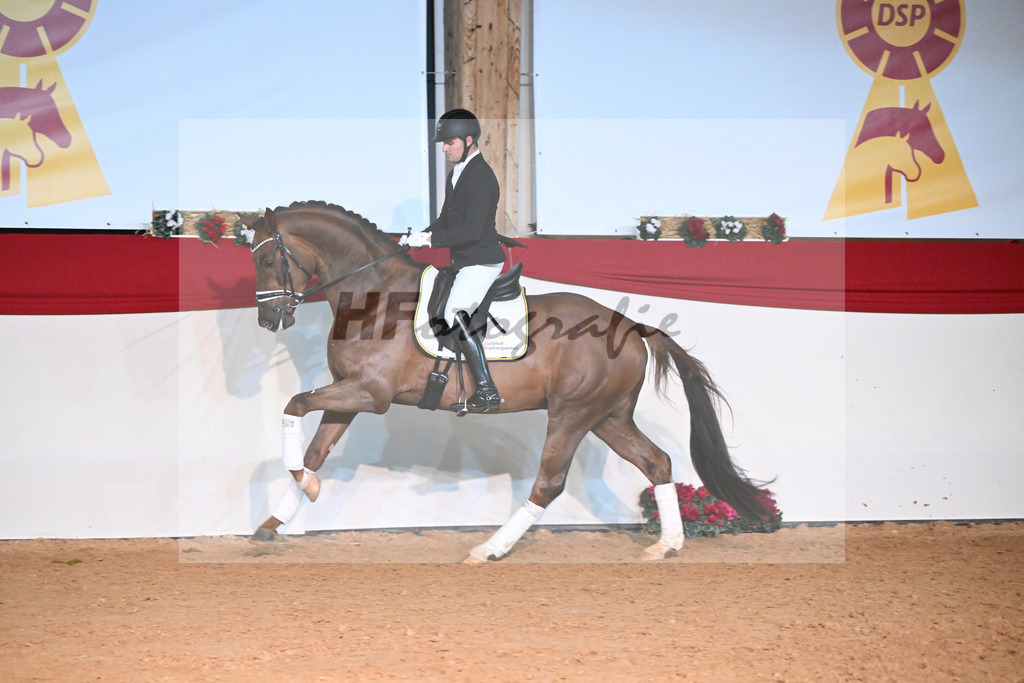 Feliciano_Wadenspanner_1234832 | hf-fotografie - Realisiert mit Pictrs.com