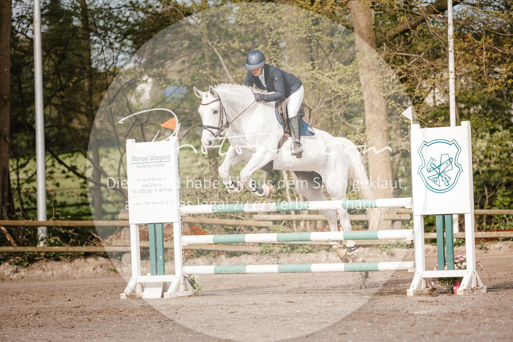 3I6A3447 | Stimmungsvolle Portraits und Reitsportfotografie im Ruhrgebiet und im Münsterland.

Pferdefotografie, Hundefotografie, Tierfotografie, Reportagen, Portraits von Tier und Mensch, Turnierfotografie in Bochum, Recklinghausen, Marl, Haltern am See, Dülmen.. - Realisiert mit Pictrs.com